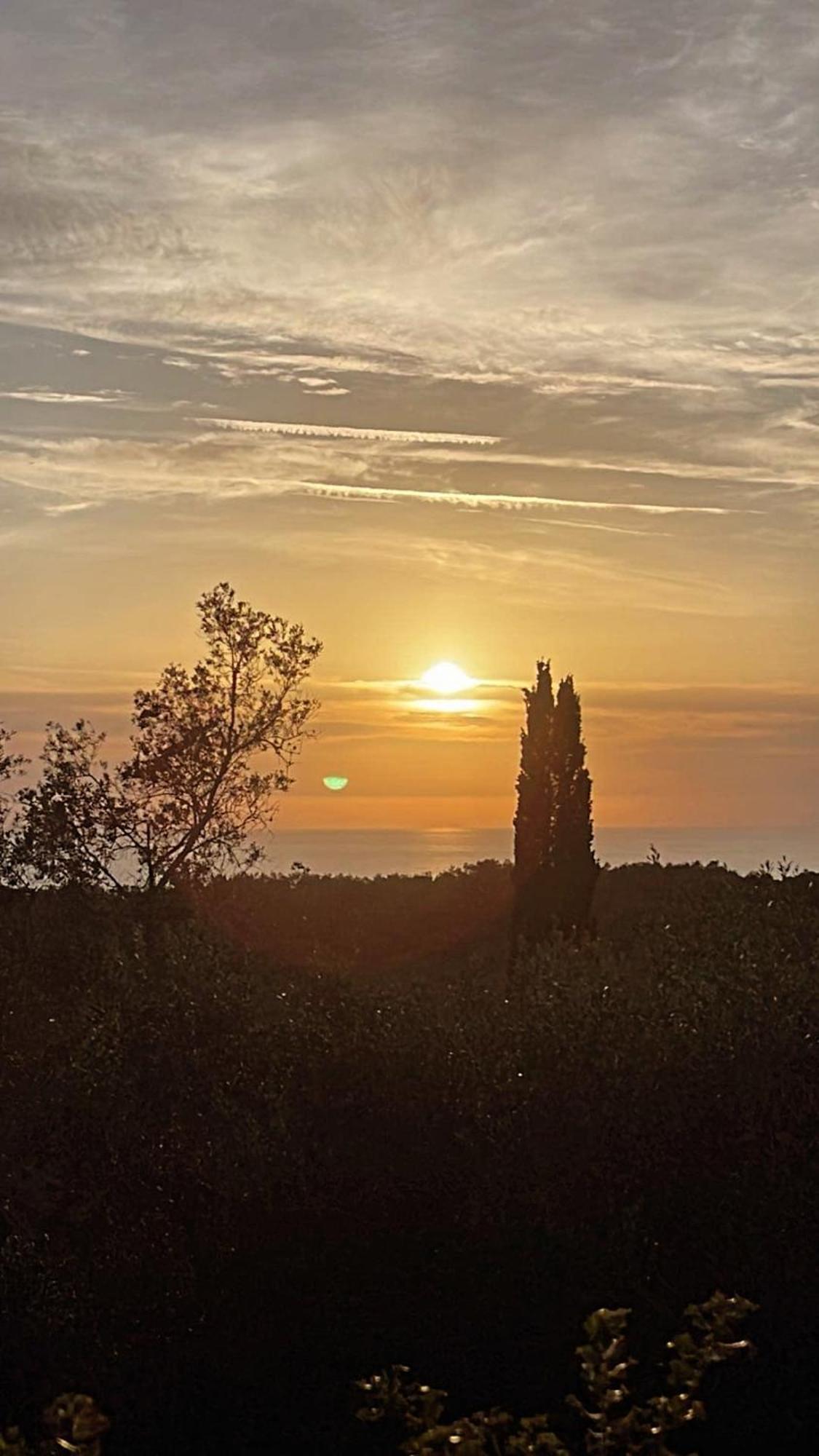 Villa Maria 4 Liapades Dış mekan fotoğraf